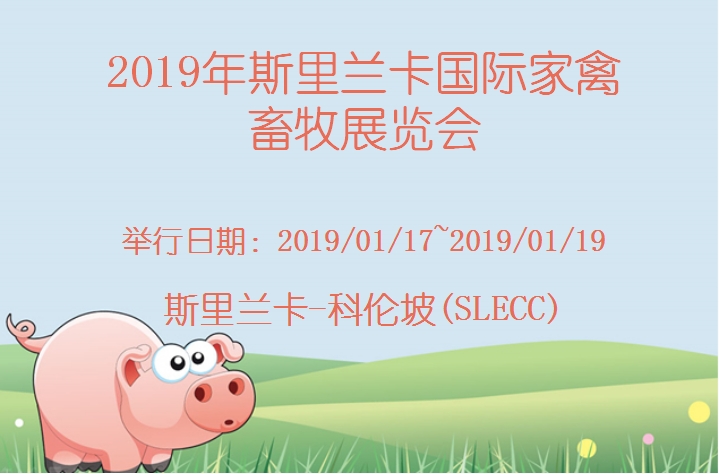 博覽會(huì)