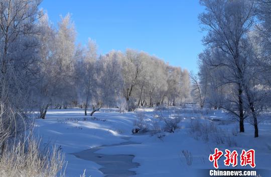 “醉美雪樺”及當地民俗成為冬季冰雪旅游的亮點?！」秃涌h委宣傳部供圖 攝