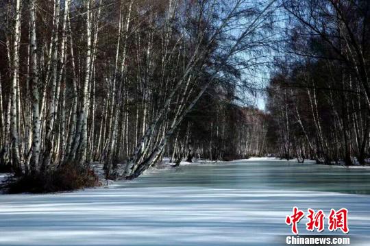 哈巴河的冬日之美絲毫不輸夏天?！」秃涌h委宣傳部供圖 攝