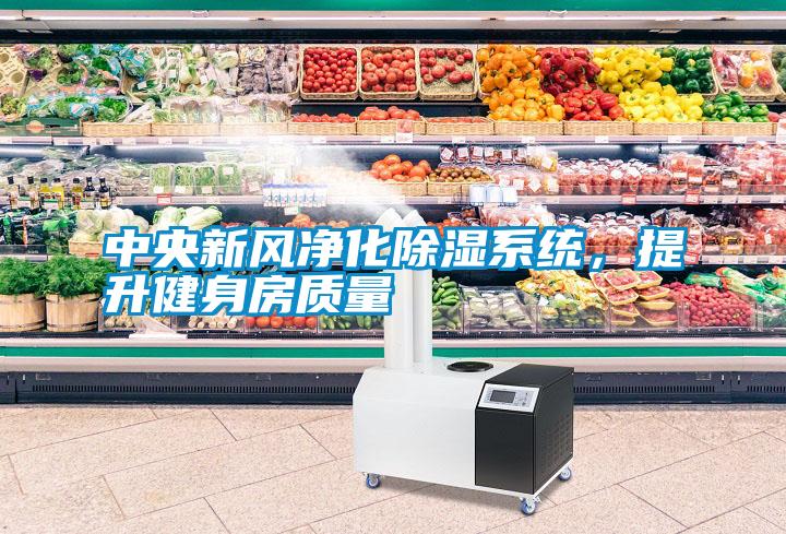中央新風凈化除濕系統，提升健身房質量
