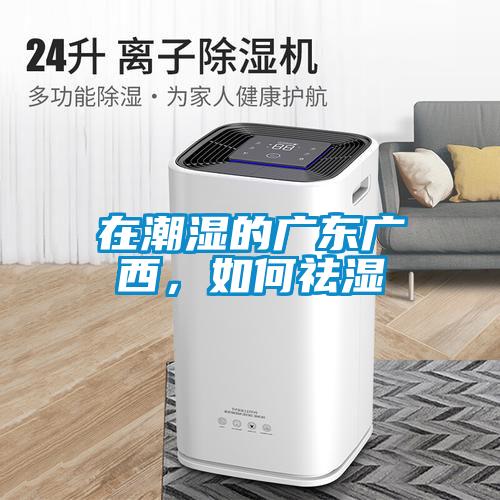 在潮濕的廣東廣西，如何祛濕