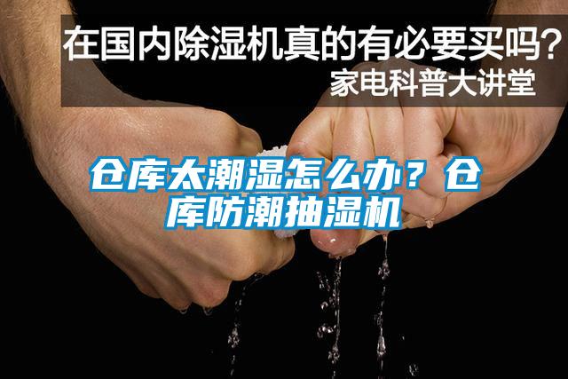 倉庫太潮濕怎么辦？倉庫防潮抽濕機