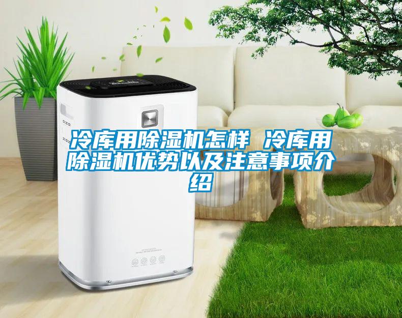 冷庫用除濕機(jī)怎樣 冷庫用除濕機(jī)優(yōu)勢(shì)以及注意事項(xiàng)介紹