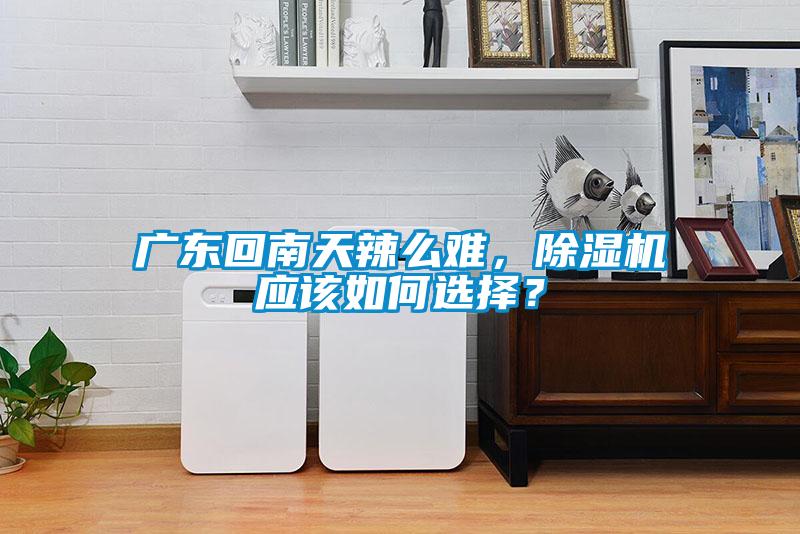 廣東回南天辣么難，除濕機應該如何選擇？