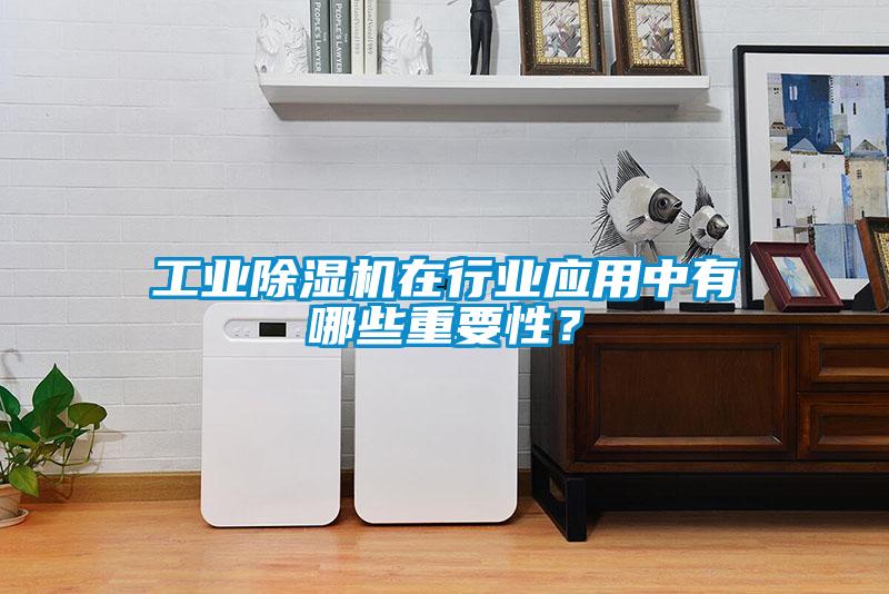 工業除濕機在行業應用中有哪些重要性？