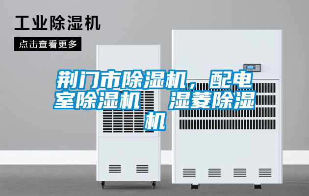 荊門市除濕機，配電室除濕機  濕菱除濕機