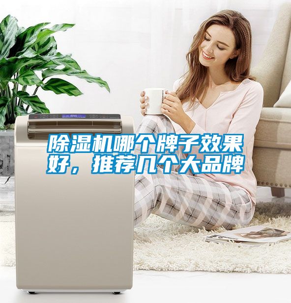 除濕機哪個牌子效果好，推薦幾個大品牌