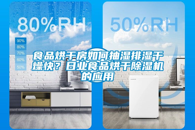 食品烘干房如何抽濕排濕干燥快？日業食品烘干除濕機的應用