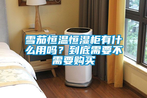 雪茄恒溫恒濕柜有什么用嗎？到底需要不需要購(gòu)買(mǎi)