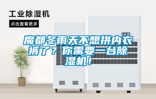 魔都冬雨天不想拼內衣褲了？你需要一臺除濕機！